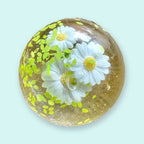 Squishy de maltosa, bola de gel slow rising