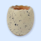 Dinosaur Egg Squishy, Baby Dino Pops Out, 6 cm