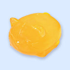Geleikat squishy, heldere maltose