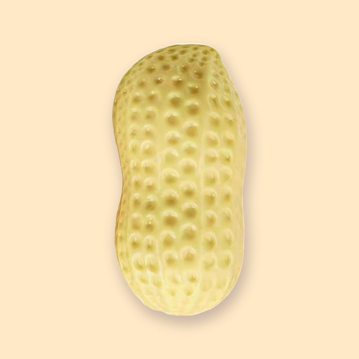 Squishy crunchy orzeszek ziemny