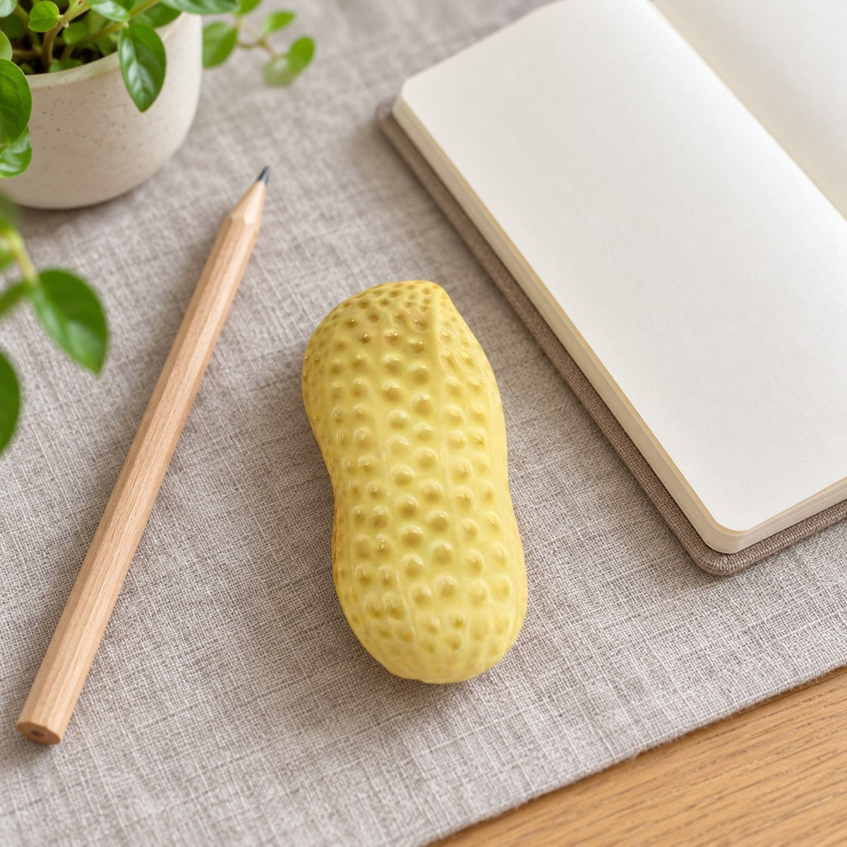 Peanut squishy crunchy, on a desk with a notebook and pencil