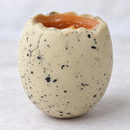 Dinosaur egg squishy baby dino pops out, close-up of the surface and details