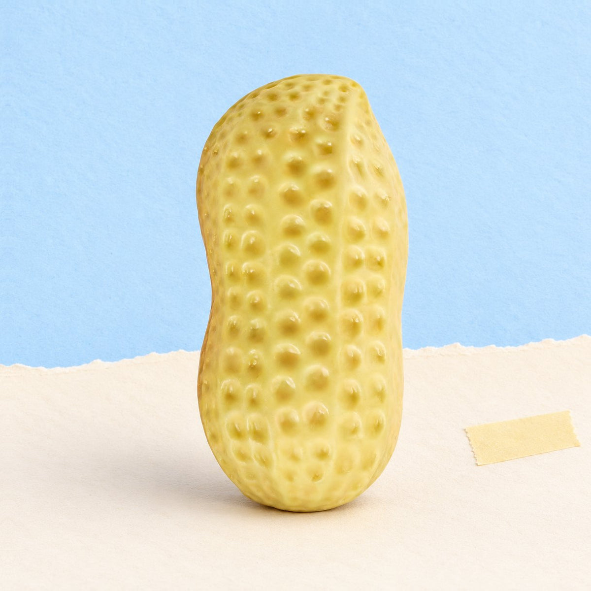 Erdnuss Squishy in Crunchy-Ausführung, Produktfoto auf Pastellpapier
