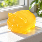 Jelly Cat Squishy, Clear Maltose (yellow), on a sunny windowsill