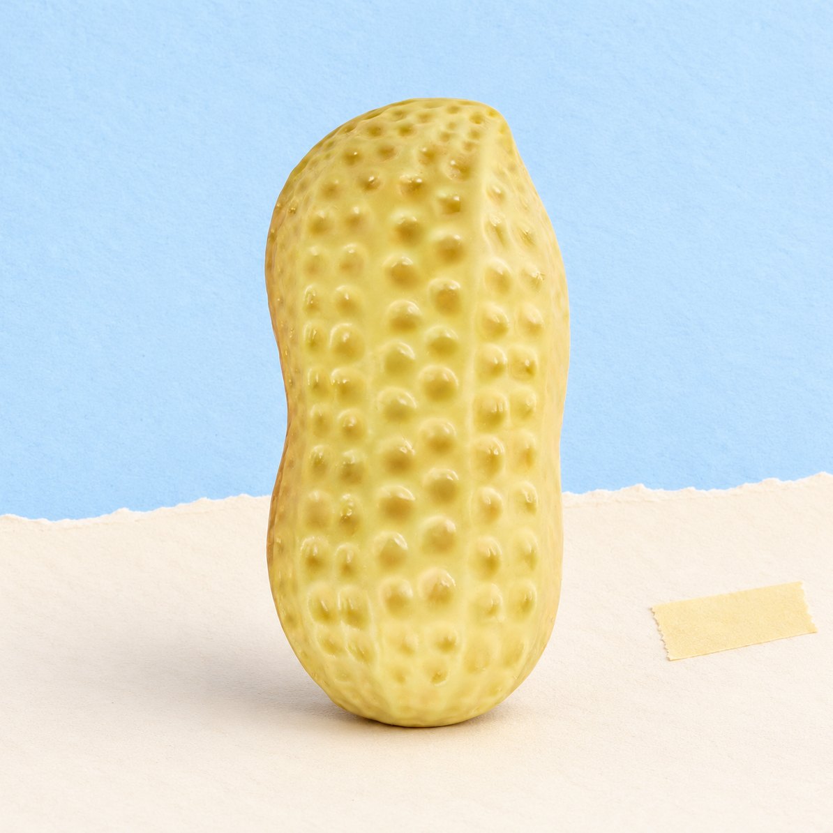 Jordnød-squishy med knas, produktfoto på pastelfarvet papir