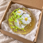Maltose taffy squishy (Spring Daisies), unboxed from a parcel with tissue paper