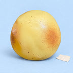 Kneedbare aardappel squishy – Kneedbare aardappel squishy, veert niet terug, productfoto op pastelpapier