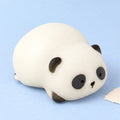Panda squishy soft – Panda Squishy, Lying Panda in Gift Box, product photo on pastel paper