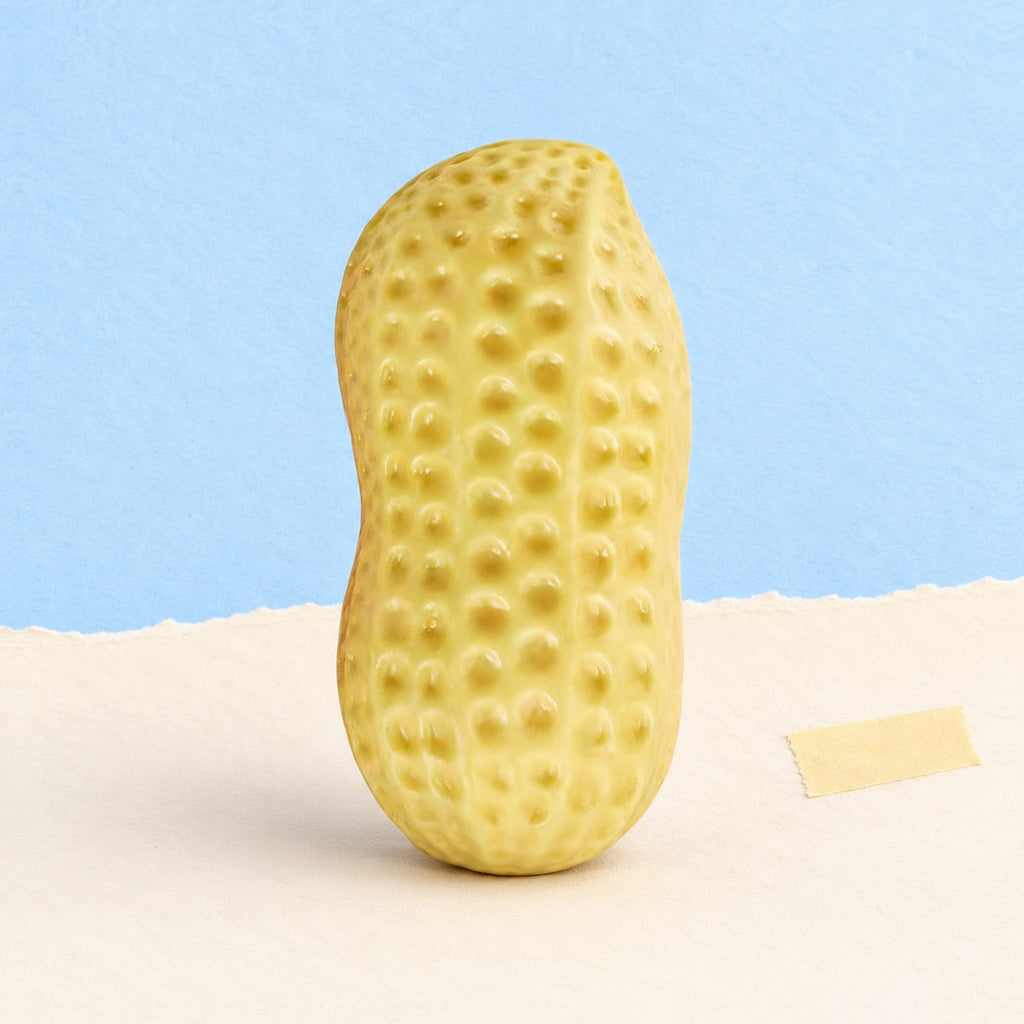 Peanut squishy crunchy, product photo on pastel paper