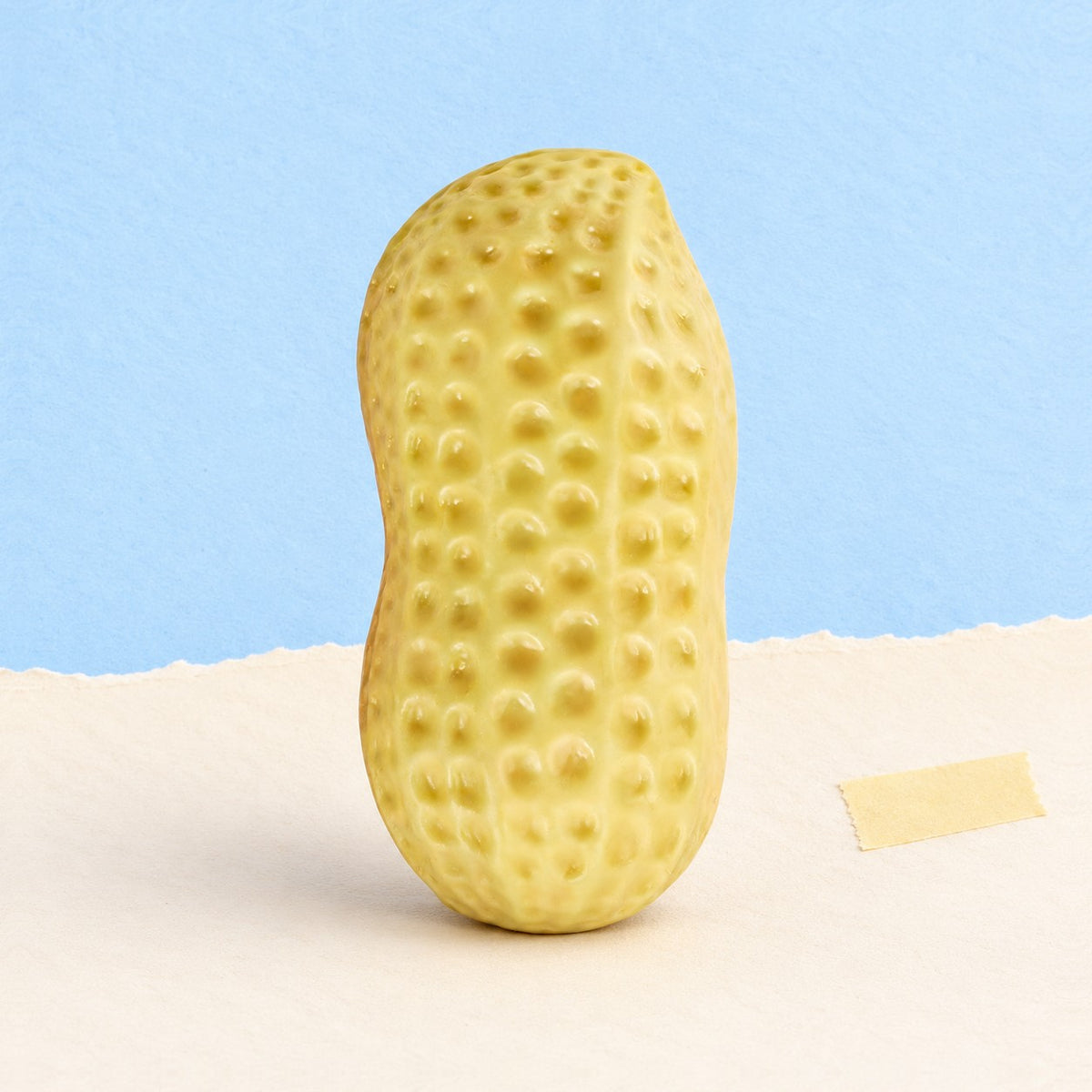 Peanut squishy crunchy, product photo on pastel paper