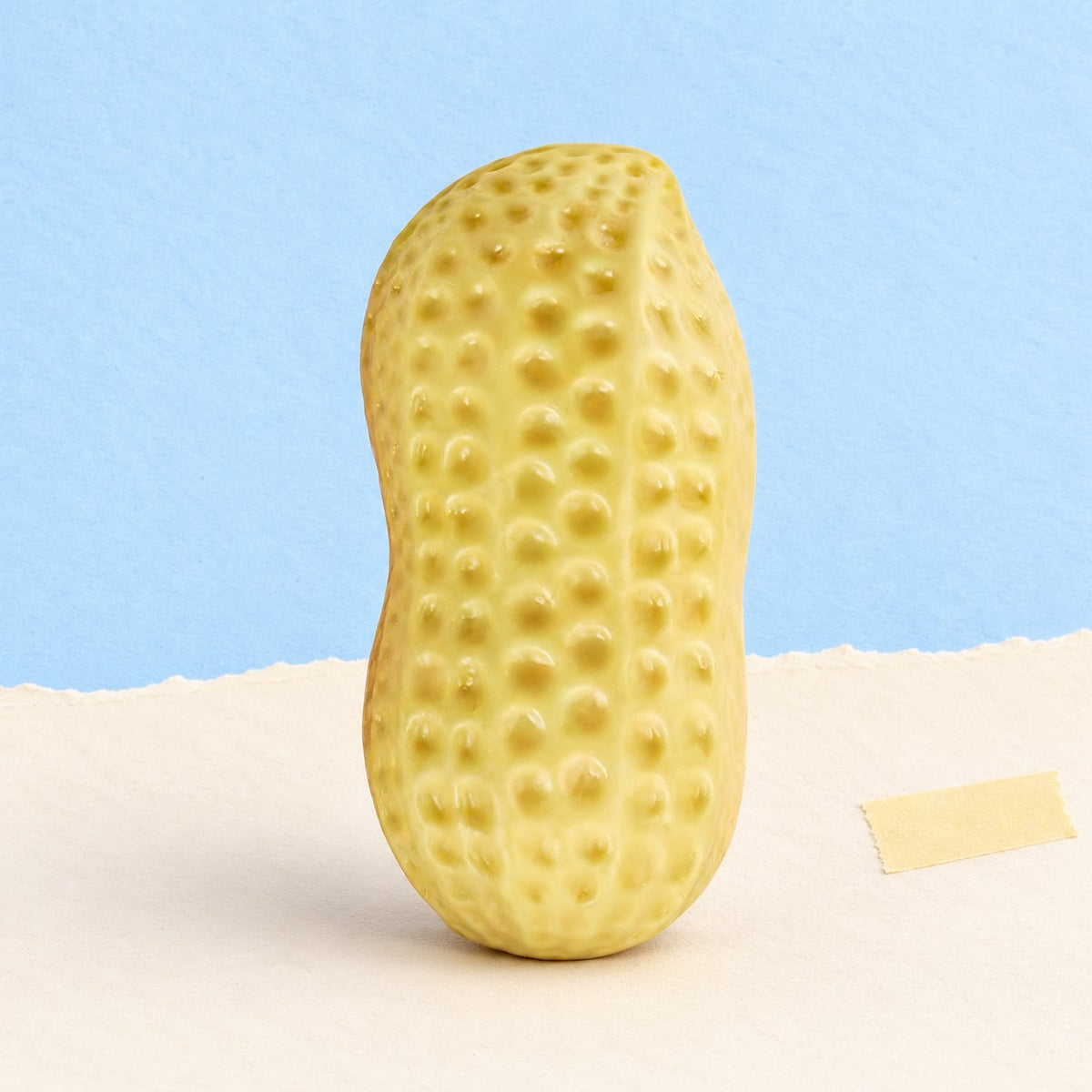 Pinda squishy als productfoto op pastelkleurig papier