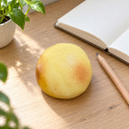 Aardappel squishy gelei, op een bureau met notitieboek en potlood