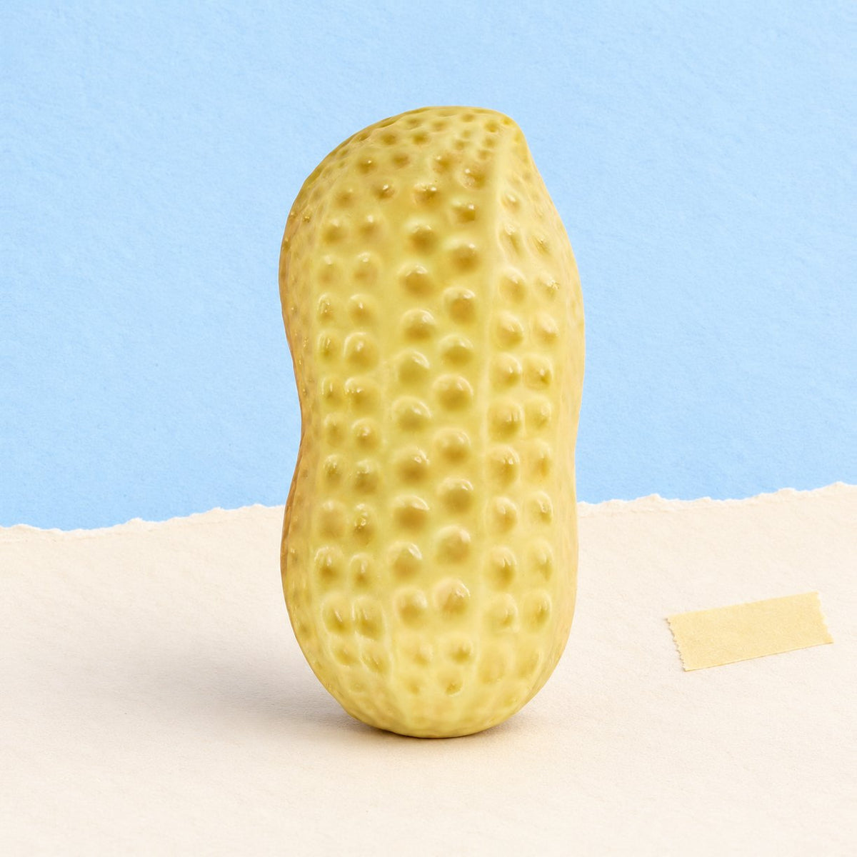Squishy arašíd, produktová fotka na pastelovém papíře