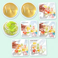 Coconut Oil Squishy Set, all 8 fruits