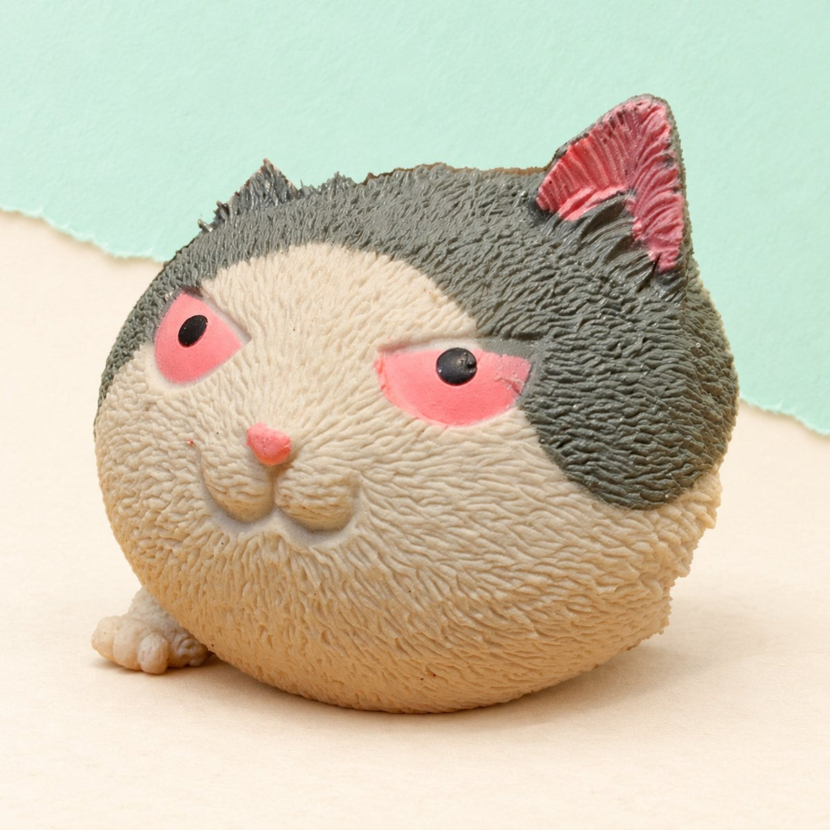 Squishy gatto arrabbiato in TPR, foto del prodotto su carta pastello